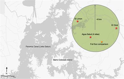 Species selection and plantation management in enrichment planting with native timber species in the Panama Canal watershed